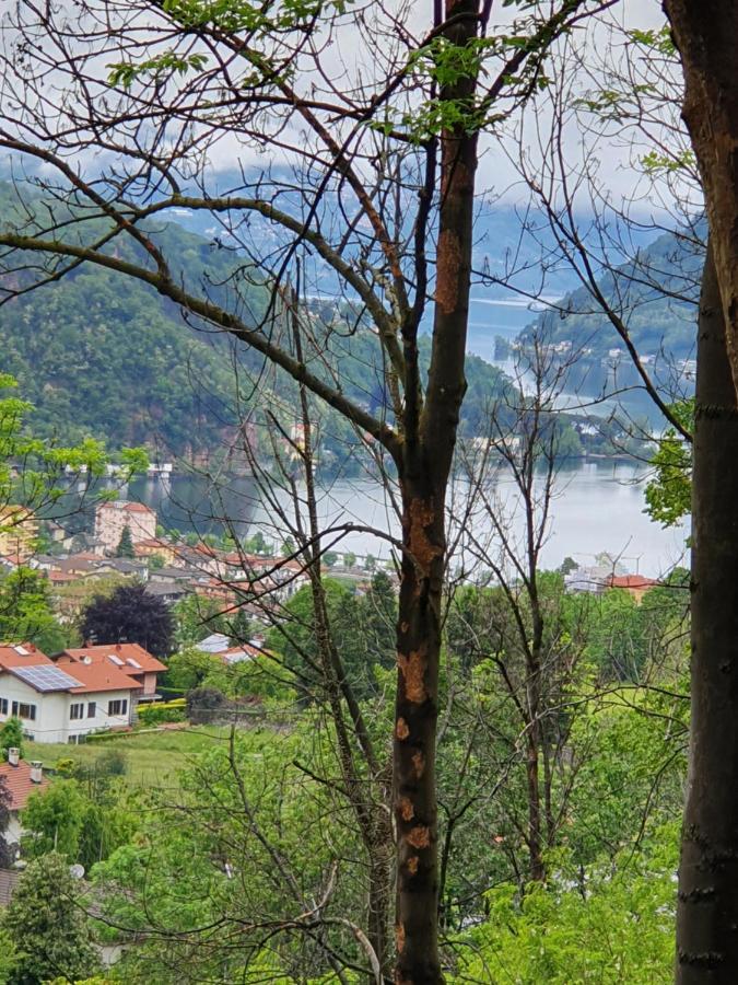 Vacabruz Apartment Besano Bagian luar foto